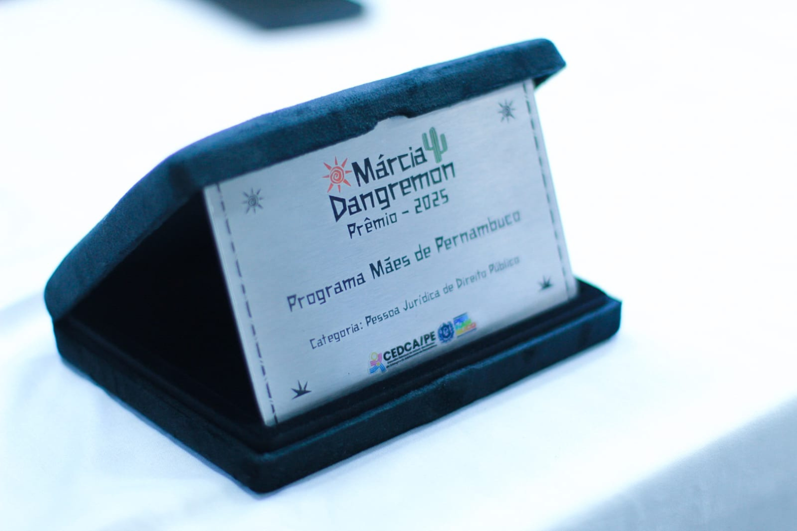 Foto: Thais Estevam | SAS